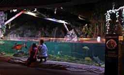 Siam Ocean World Bangkok_3298.JPG